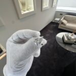 Pear Shape Diamond Engagement Ring